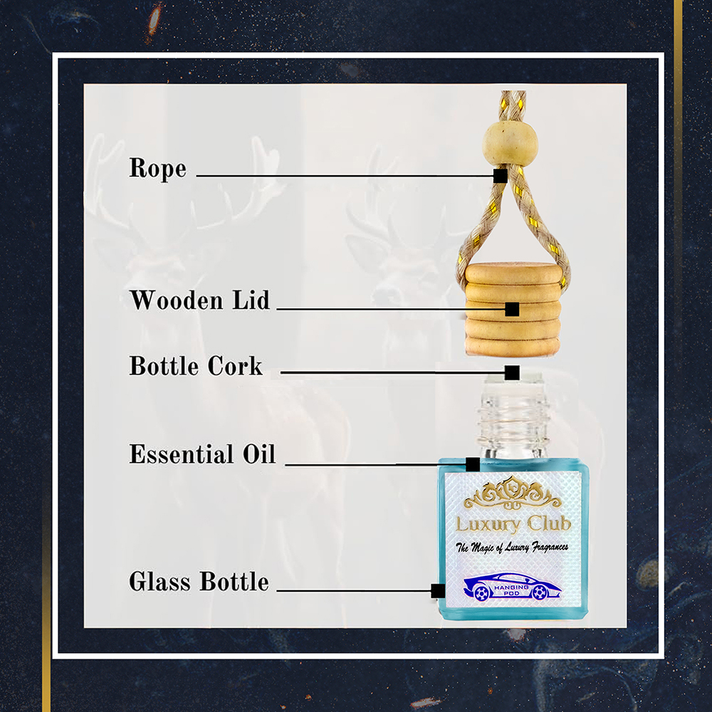 Aqua Fresh Car Hanging Pod Perfume